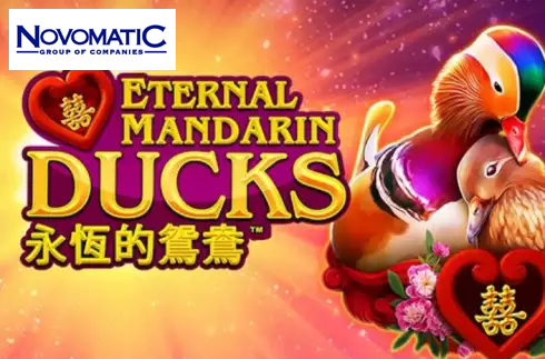 Power Prizes Eternal Mandarin Ducks